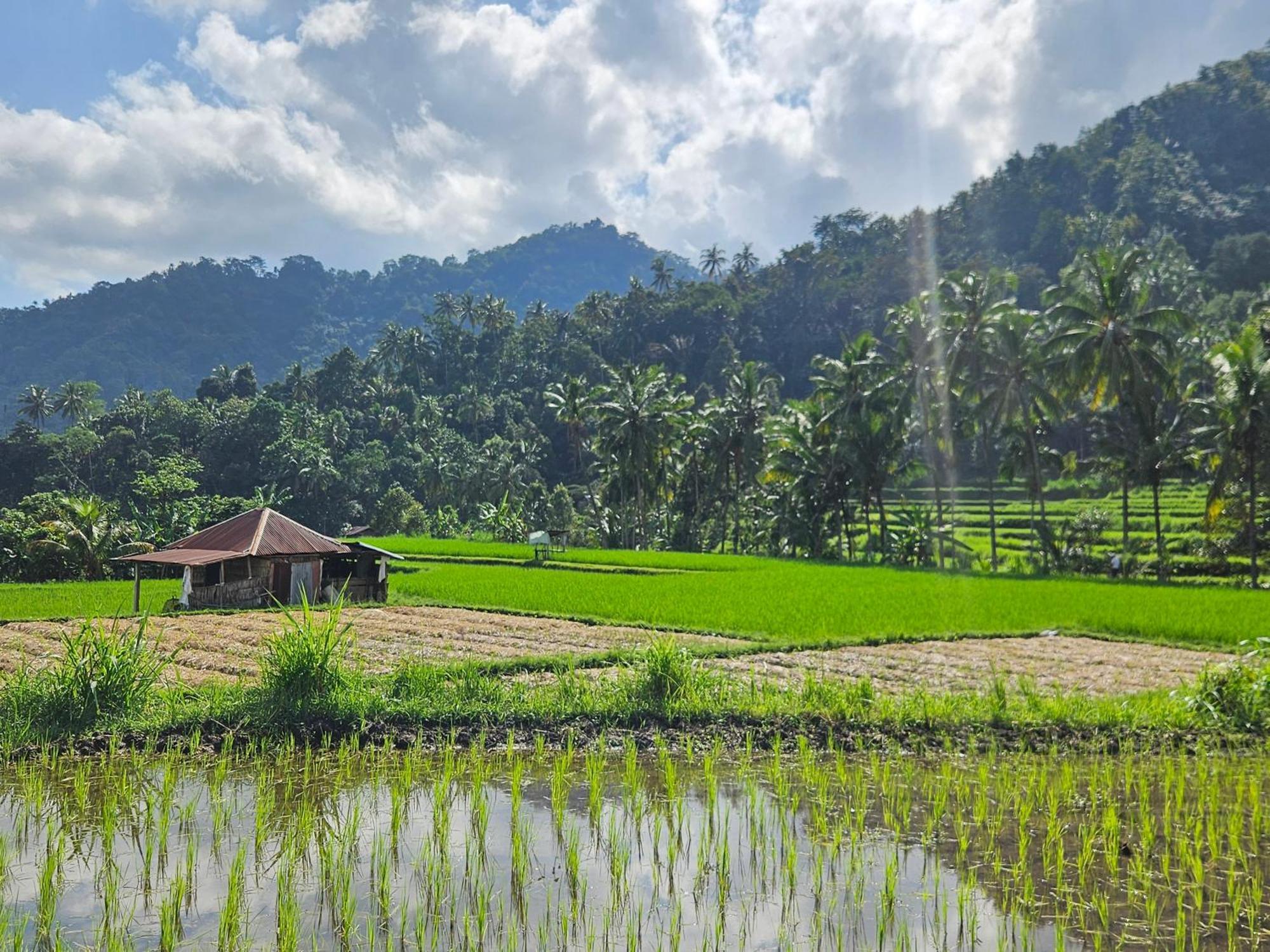 Sawan Villa Markisa Pakisan المظهر الخارجي الصورة